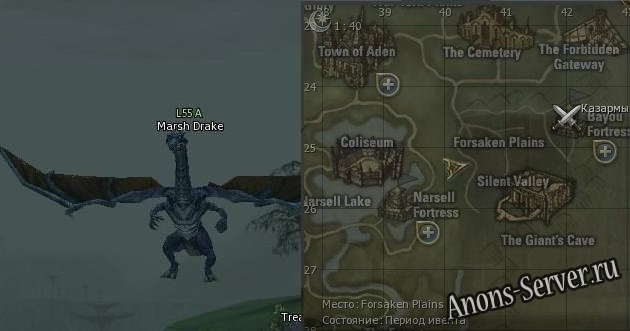 marsh-drake